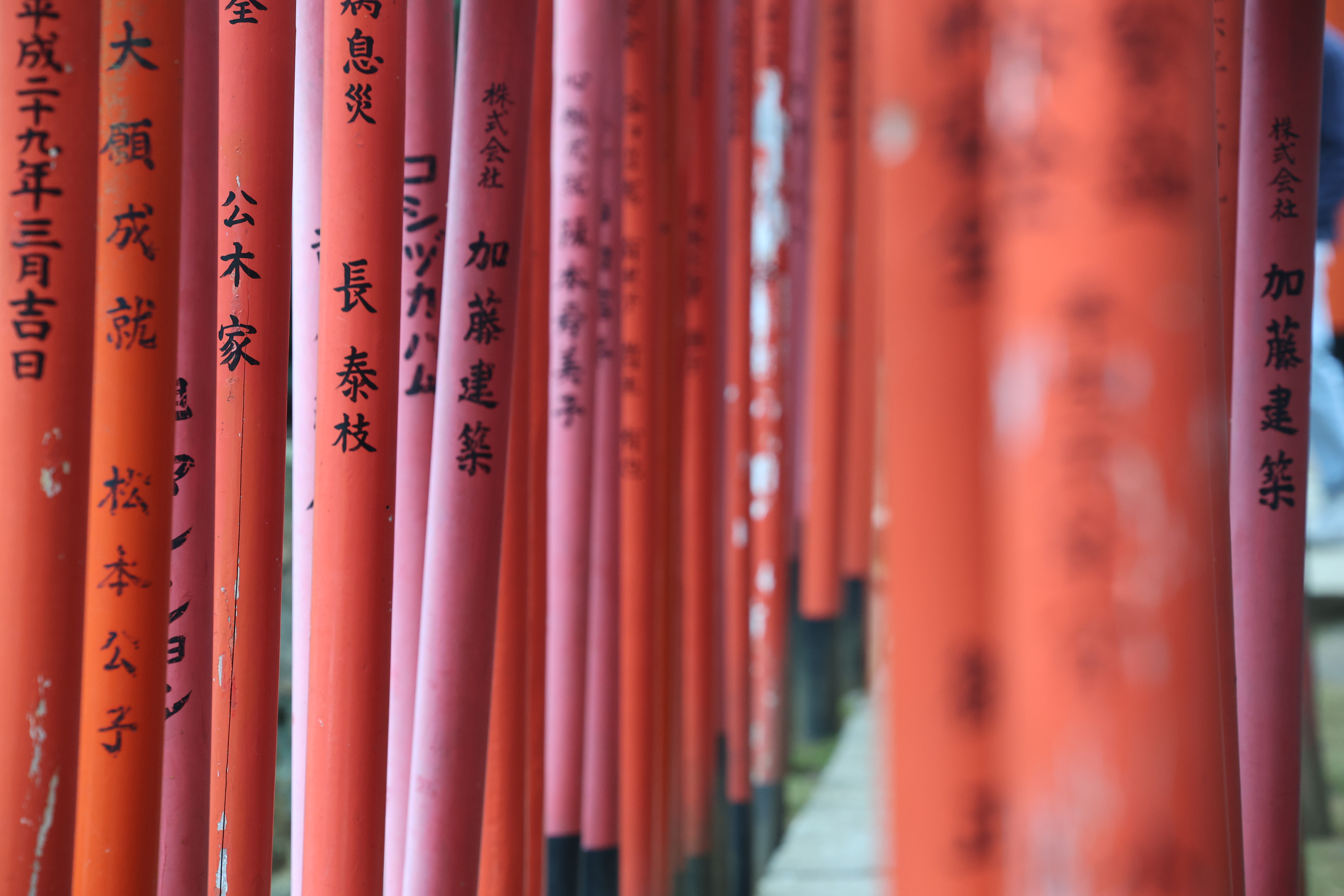 Torii